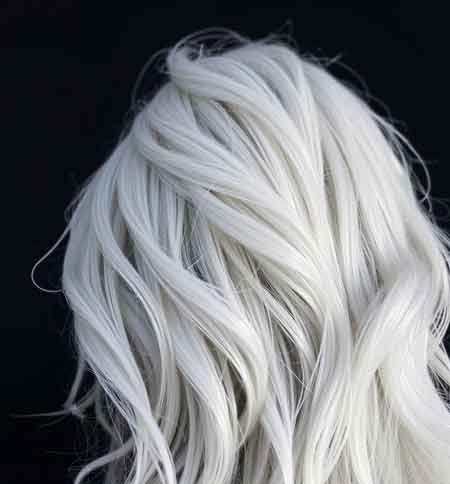 Le phénomène des cheveux de glace