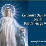 Apprenons A Connaitre Jesus Christ Par Sa Mere La Sainte Vierge Marie Gloireadieu Com