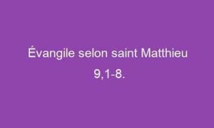 Évangile selon saint Matthieu 9,1-8.