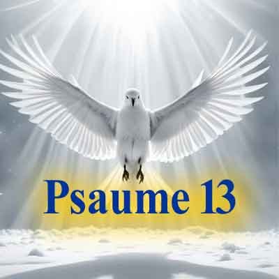 Psaume 13