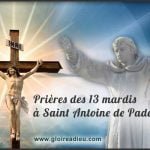 Prières des 13 mardis à Saint Antoine de Padoue