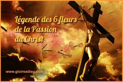 Les 6 fleurs de la Passion de Jésus-Christ