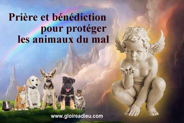 Prière et bénédiction pour protéger les animaux du mal