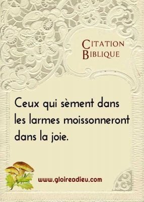 Citation biblique: larmes de joie