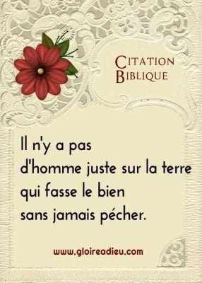 Citation biblique: le péché