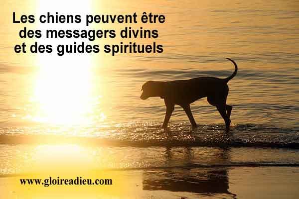 Les chiens peuvent être des messagers divins et des guides spirituels