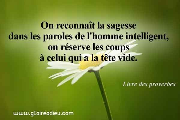 Versets 10:13 à 10:17 du Livre des proverbes de Salomon