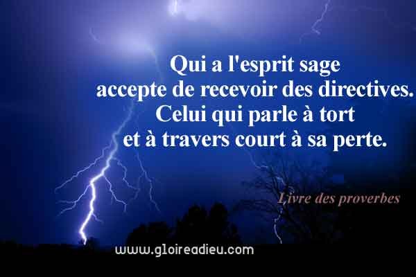 Verset 10:8 du Livre des proverbes de Salomon