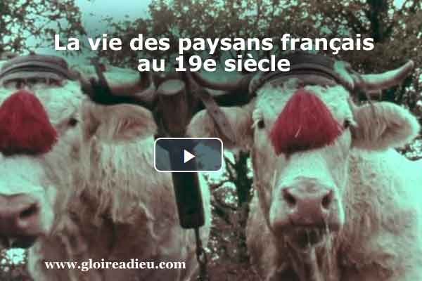 La vie des paysans français au 19e siècle – vidéo