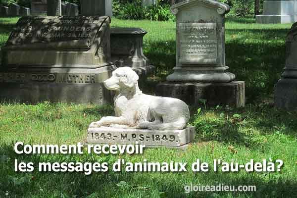 Comment recevoir les messages d’animaux de l’au-delà?