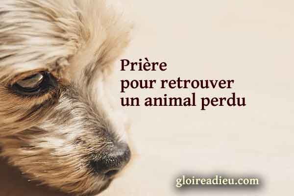 Prière pour retrouver un animal perdu