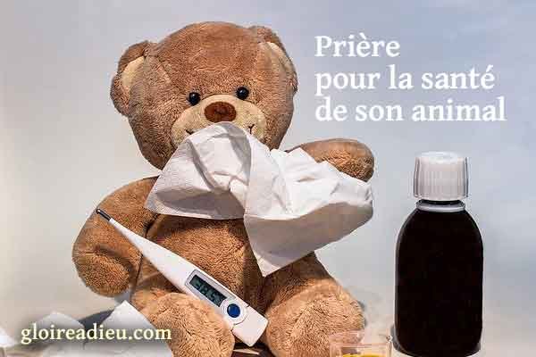 Prière pour la santé de son animal