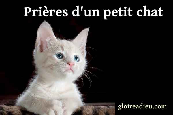 Prières d’un petit chat