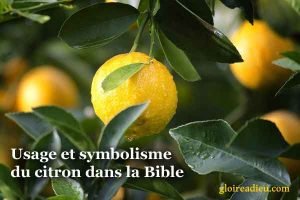 Usage et symbolisme du citron dans la Bible