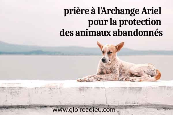 Belle prière à l’Archange Ariel pour la protection des animaux abandonnés