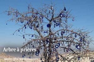 Arbre à prières