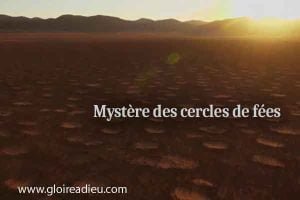 Le mystère des cercles de fées en Namibie