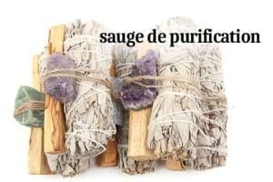 Protégez vous contre les épidémies avec la sauge, désinfectant anti-viral naturel