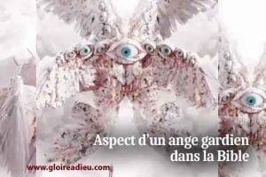 Dans la Bible quel est l’aspect d’un ange gardien?