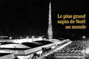 L’arbre de Noël le plus haut du monde