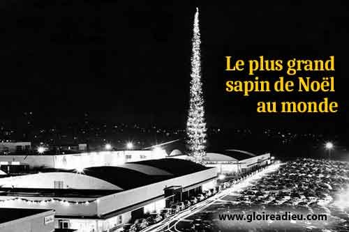 L'arbre de Noël le plus haut du monde
