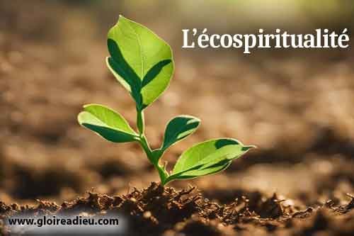 L’écospiritualité relie la spiritualité à la nature