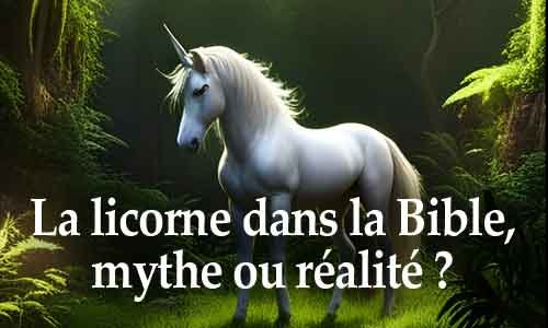 La Licorne dans la Bible : mythe, symbole ou réalité zoologique ?