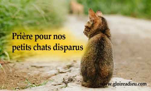 Prière pour nos chers petits chats disparus