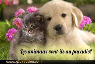 Les animaux vont-ils au paradis?