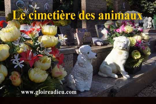 Histoire des cimetières pour animaux