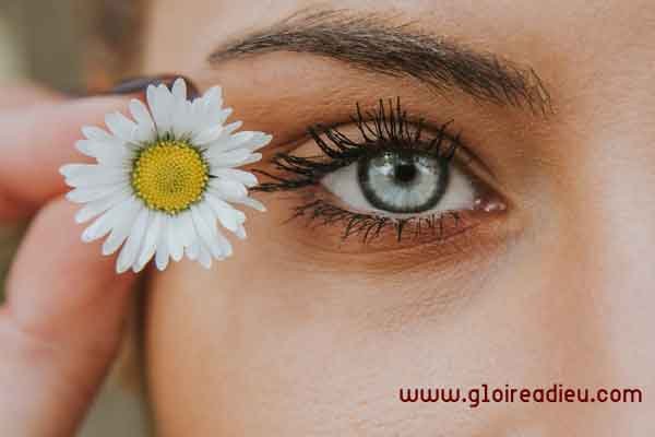 Conseils de maquillage pour avoir de jolis sourcils
