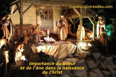 Pourquoi y avait-il des animaux dans la crèche quand le Christ est né?