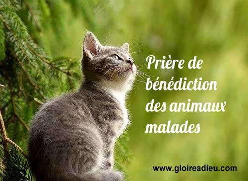 Prière et bénédiction des animaux malades